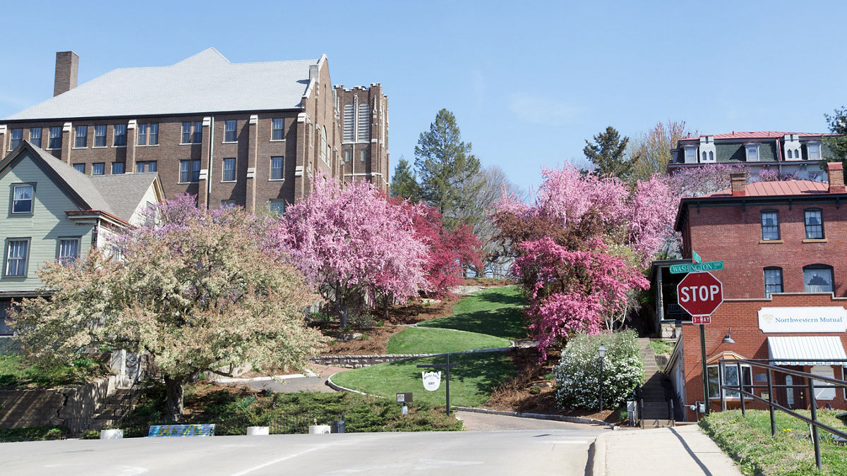 A landscape photo of historic Snake Alley.