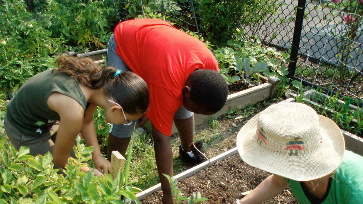 Public schools offer innovative physical education classes (such as ballroom dancing) and healthy meals that celebrate cultural diversity. Cambridge overhauled school lunch programs to offer locally grown foods, with an emphasis on fruits and vegetables. In addition, school-based health services also treat the "whole child."