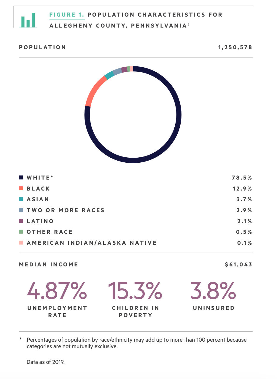 Population Characteristics for Allegheny County, PA