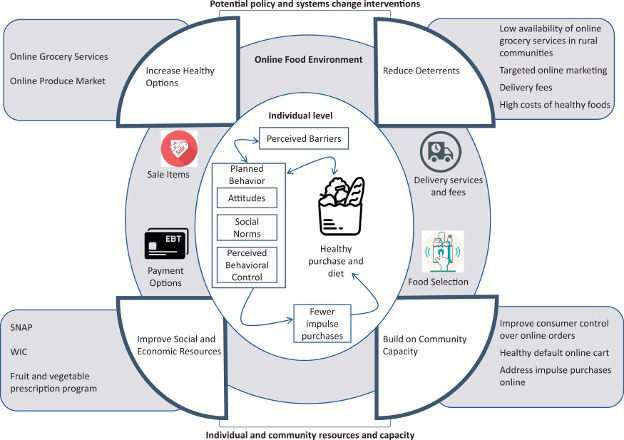 Potential Policy and Systems Change Interventions