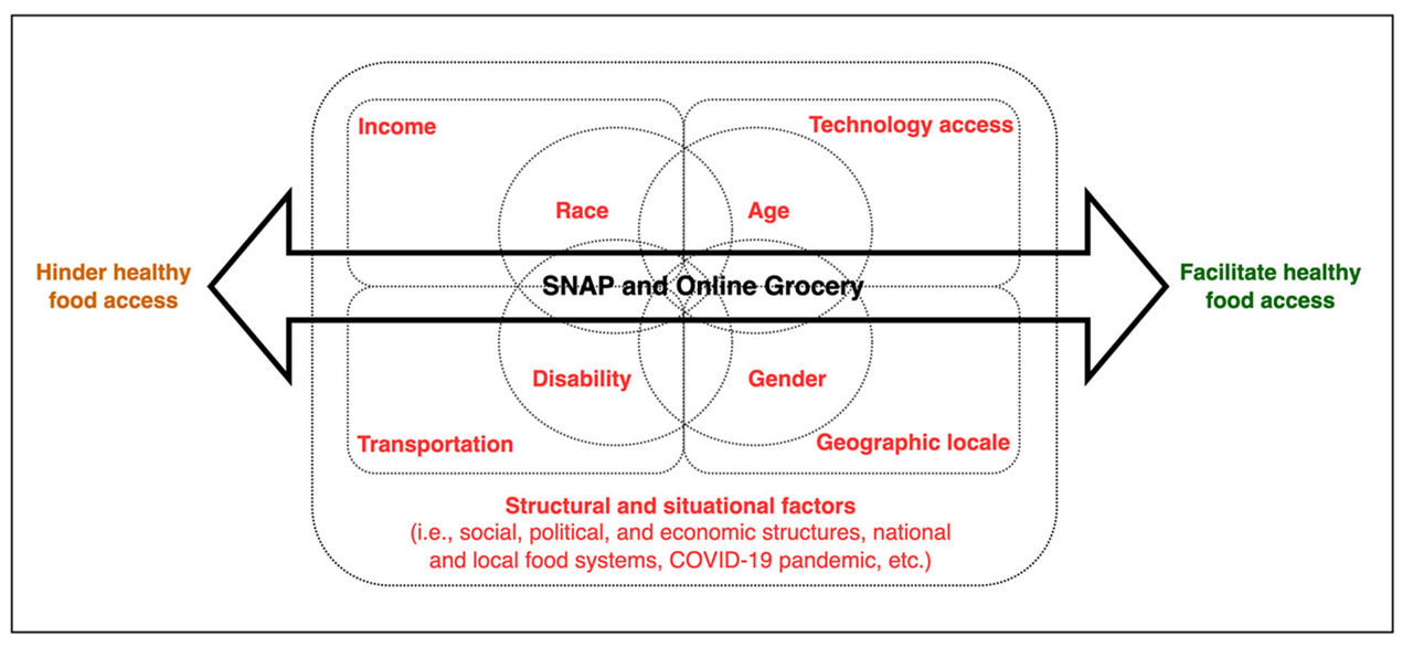 Chart illustrating structural and situational factors for food access, and that SNAP and online groceries facilitate healthy food access.
