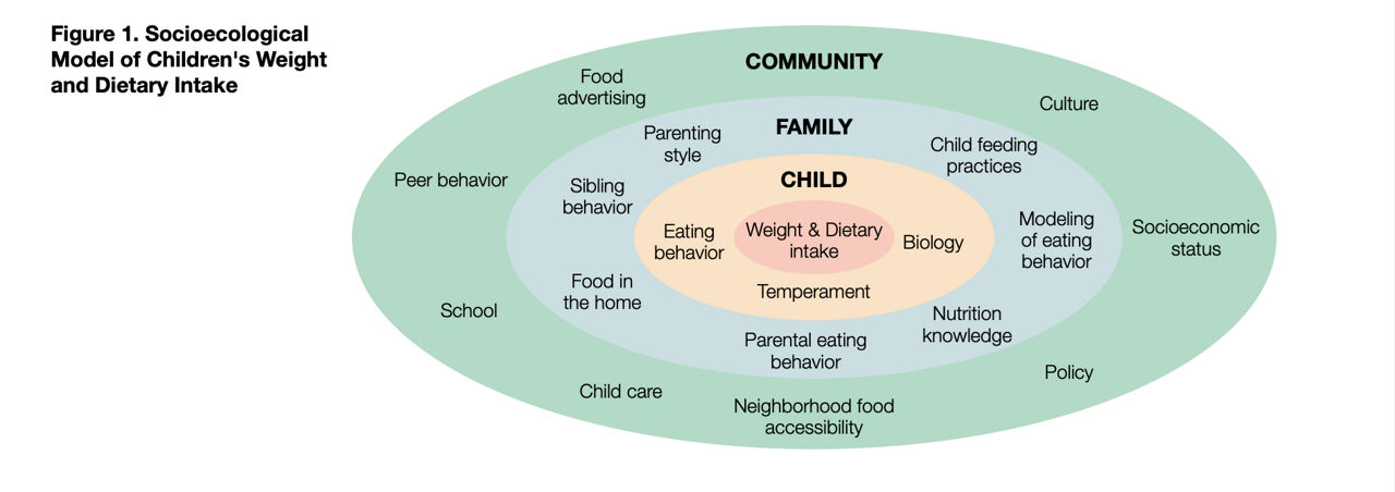 Figure 1. Socioecological Model of Children's Weight and Dietary Intake chart