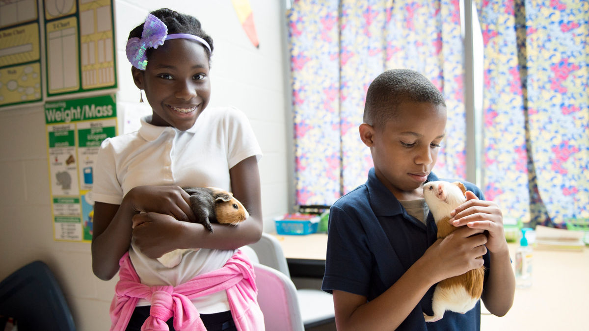 Two children holding guinea pigs in their classroom.