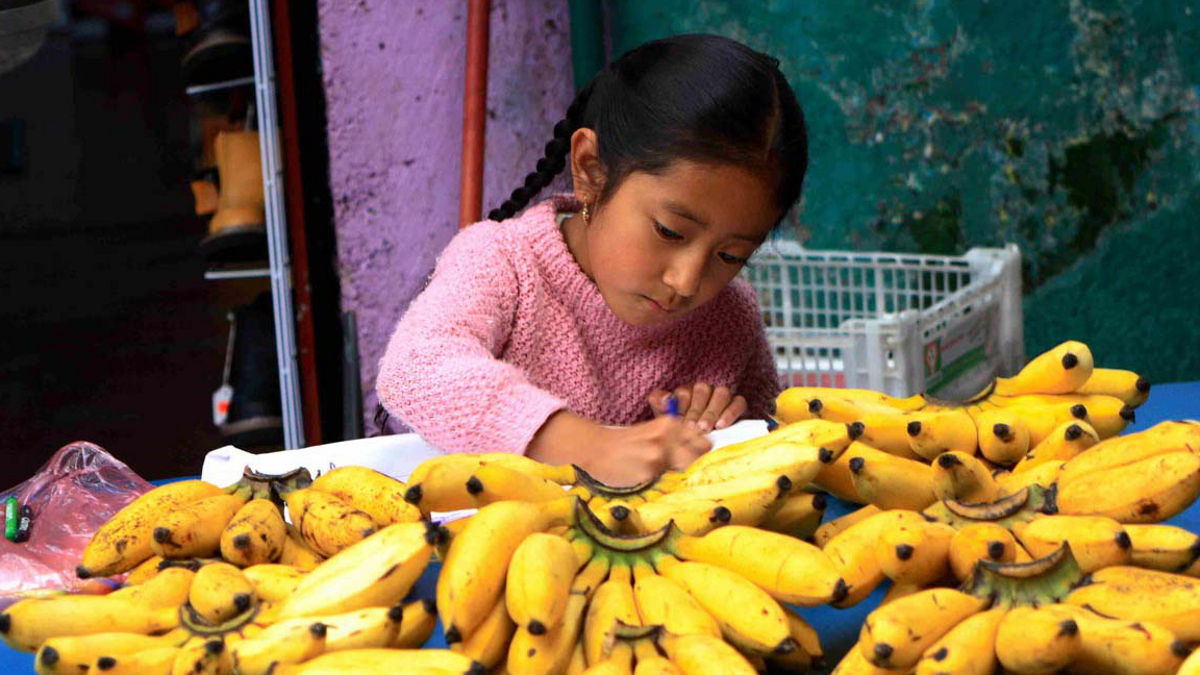 In Mexico, Healthy Food is a Child's Right
