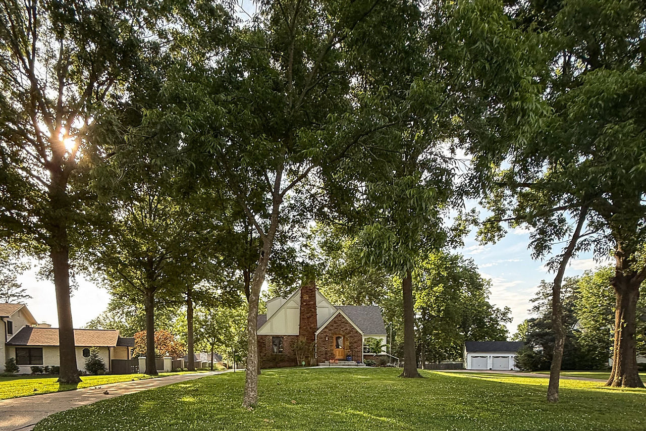 A photo of large trees in front of a brick home.