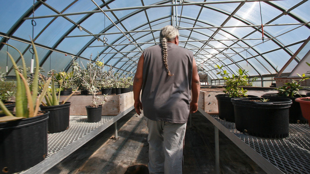 A man walking past plants in a greenhouse.