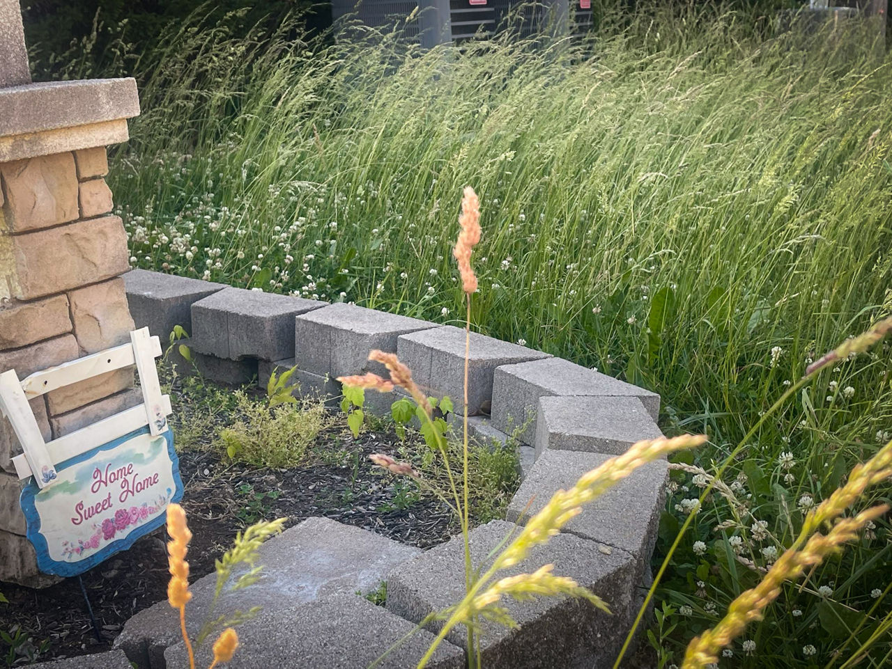 Cement pavers are situated in front of overgrown grass.