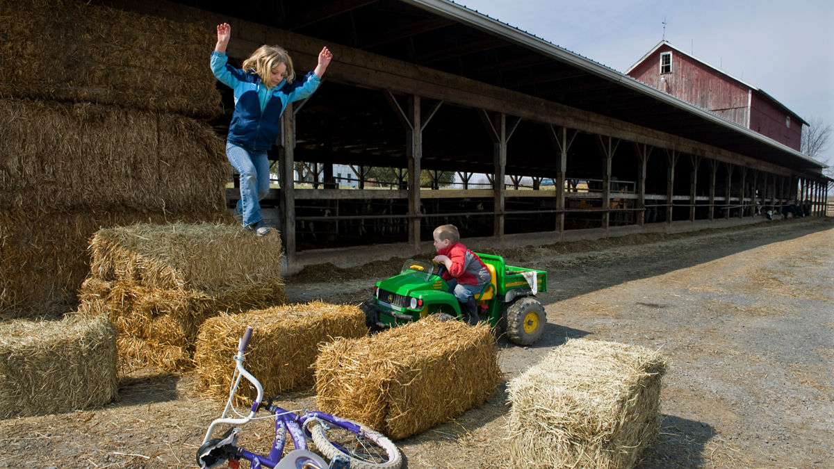 AUBURN, NEW YORK - MARCH 21: AJ Tidd, 4, and Emma Tidd, 6, play on their family farm in Auburn, NY March 21, 2010. The Tidd family has been hit hard by the recent drop in milk prices. They recently had to get rid of their health insurance because it had gotten too expensive.