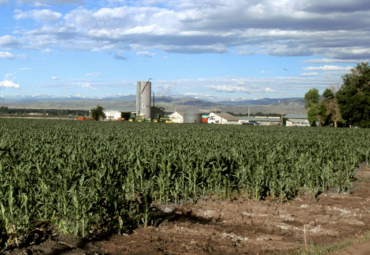 Image used for Rural Health Blog