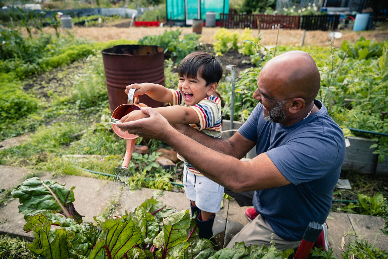 A front view shot of a young grandson helping his grandfather around the garden.