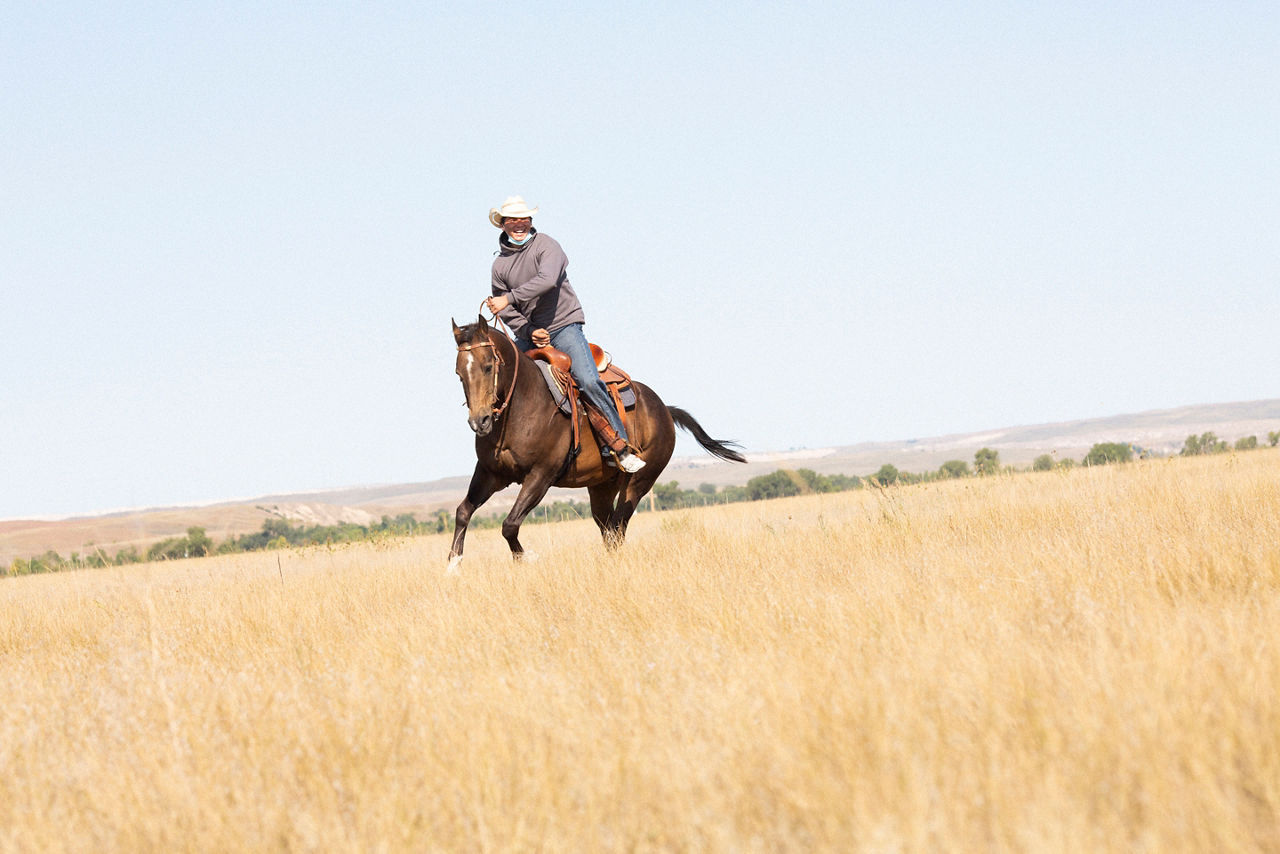 A man rides a horse in a grassy field.