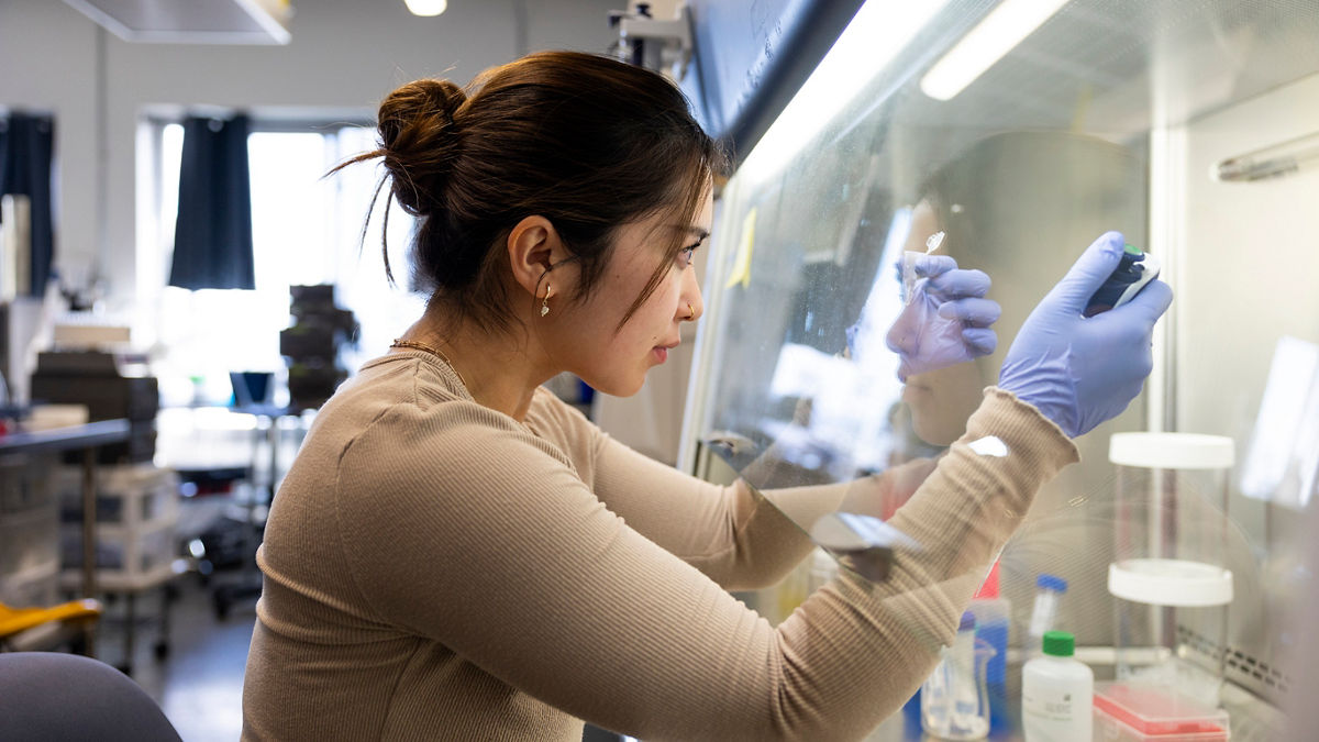 A lab assistant experimenting in a lab wearing latex gloves.
