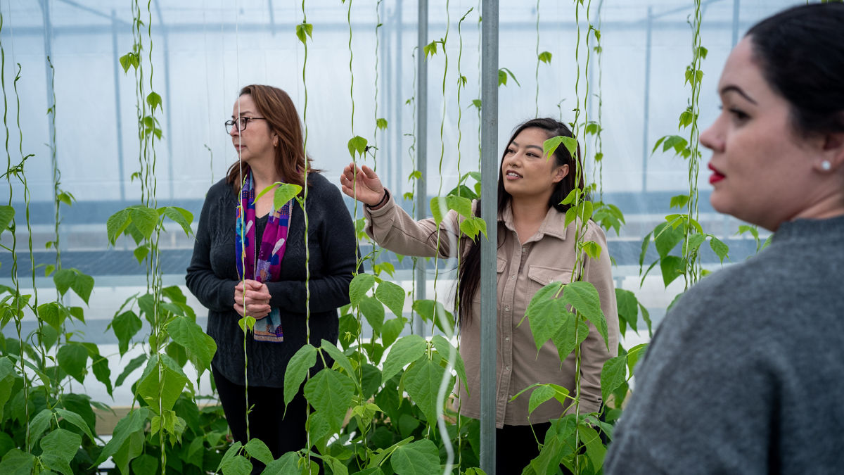 Three women stand in a greenhouse admiring plants.