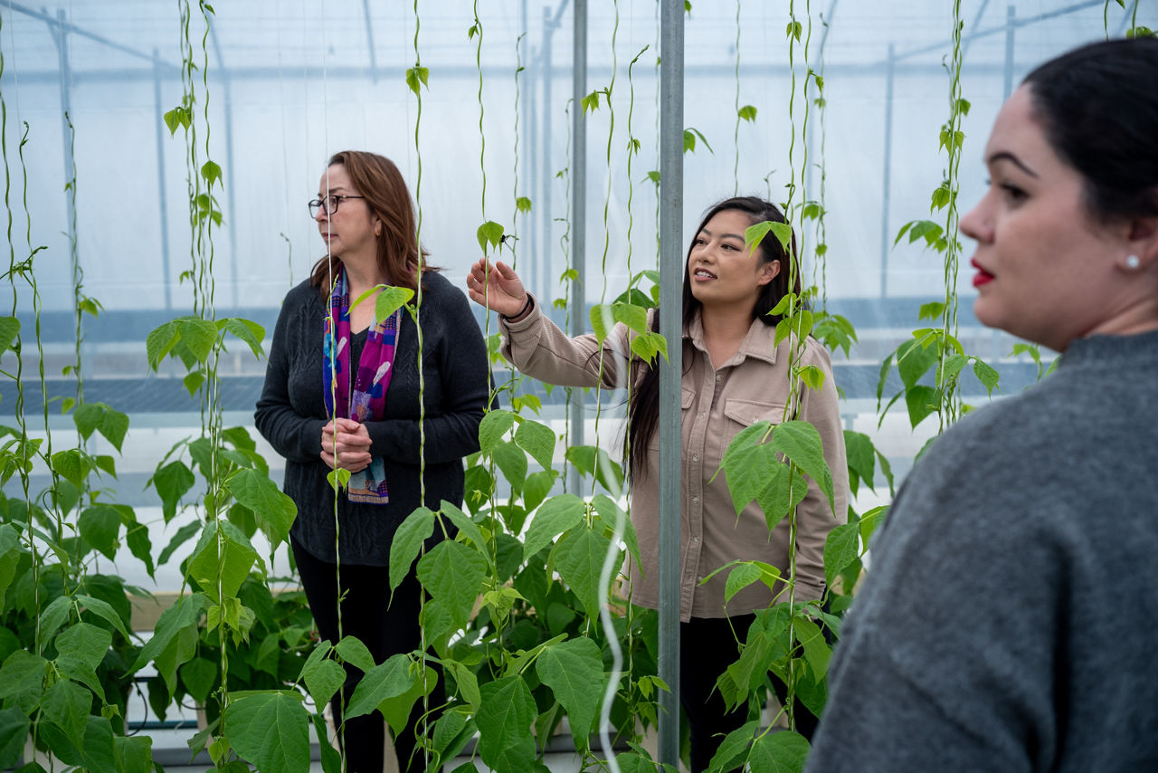 Three women stand in a greenhouse admiring plants.