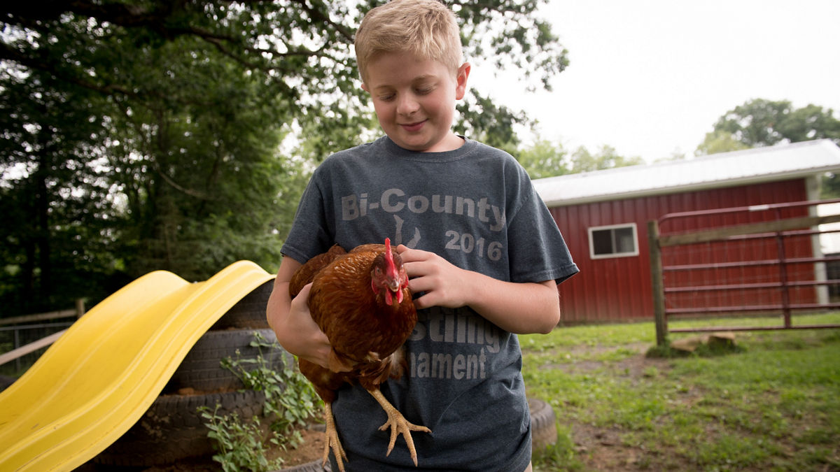 Student petting a chicken in front of a barn at school. 