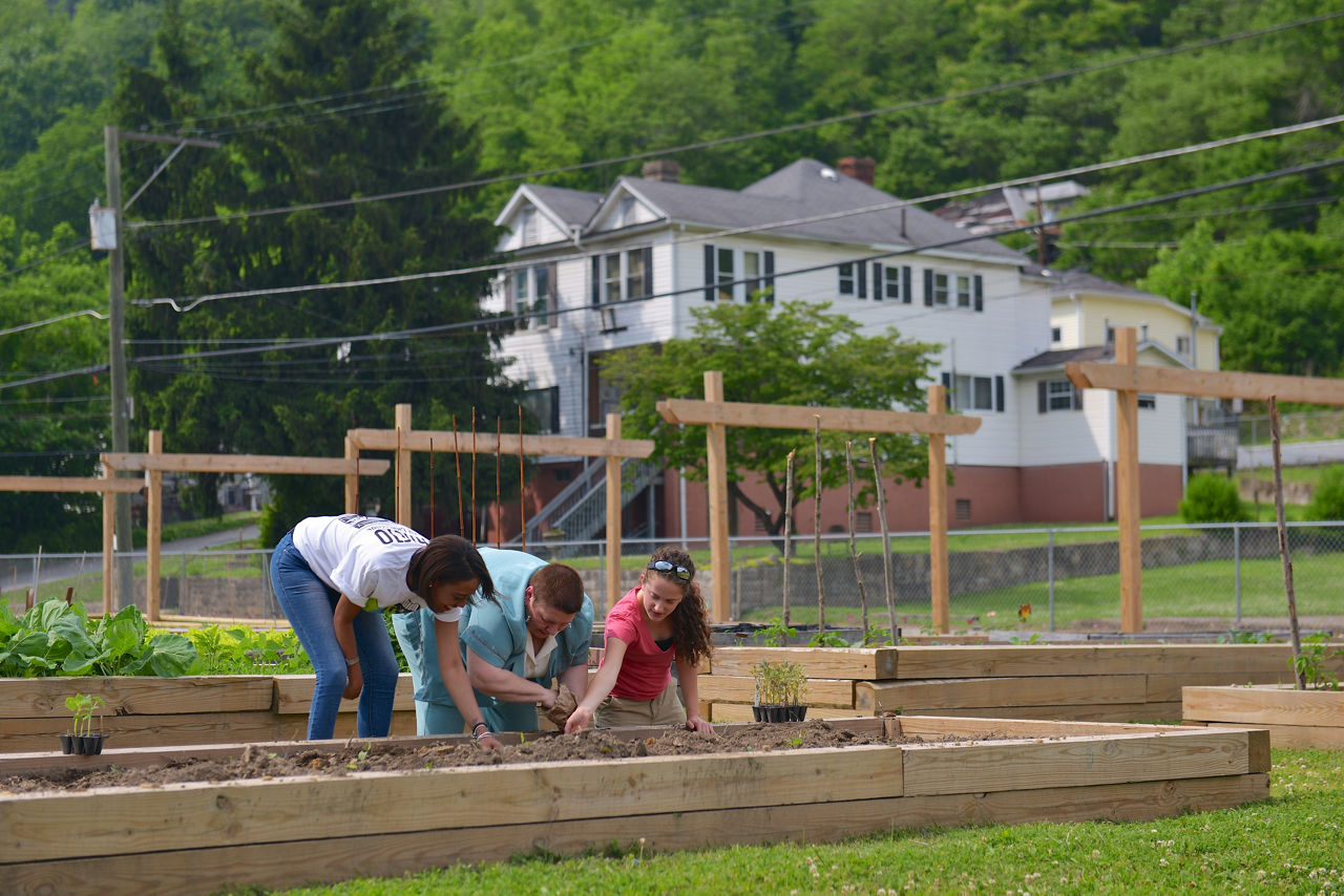 Local residents plant edibles at the Joe Remella Community Garden.