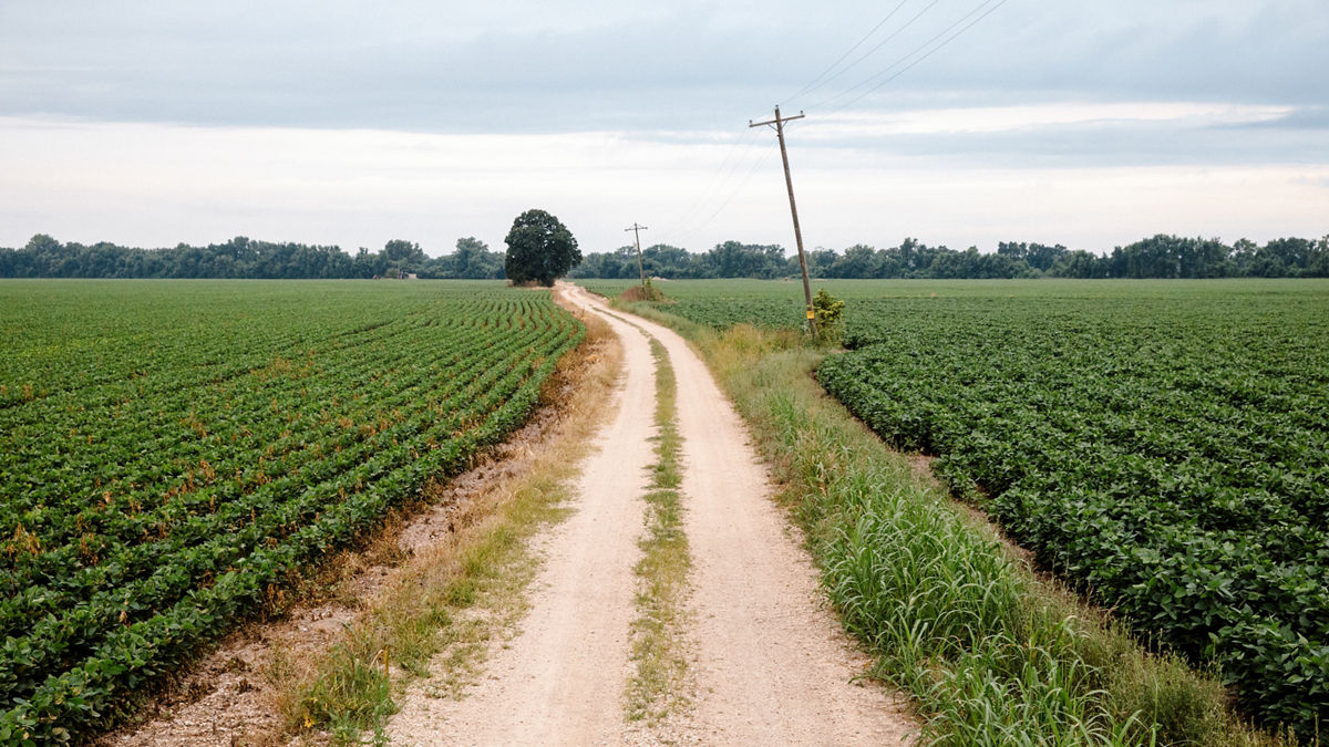 Iola, KS - August 1, 2017 - Agricultural fields on the edge of town.