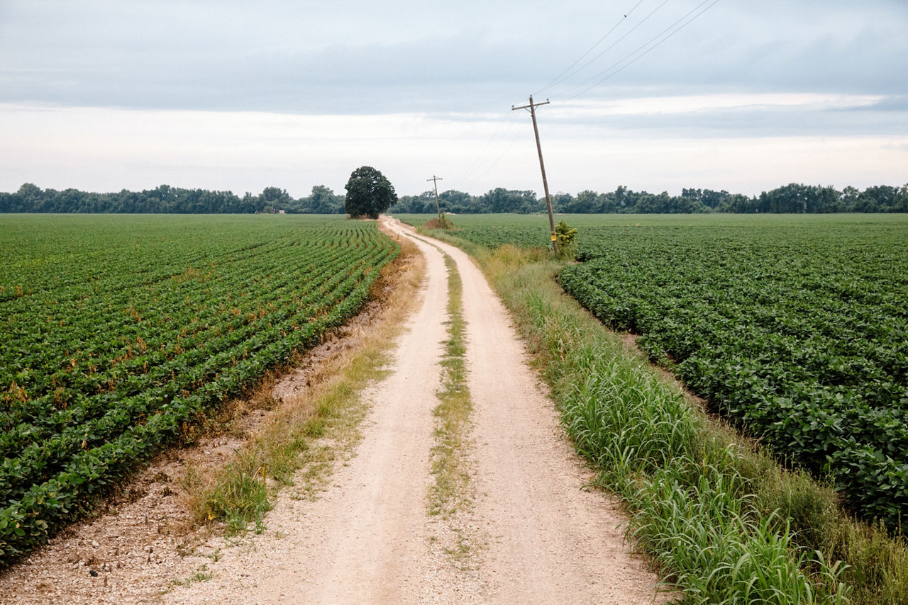 Iola, KS - August 1, 2017 - Agricultural fields on the edge of town.