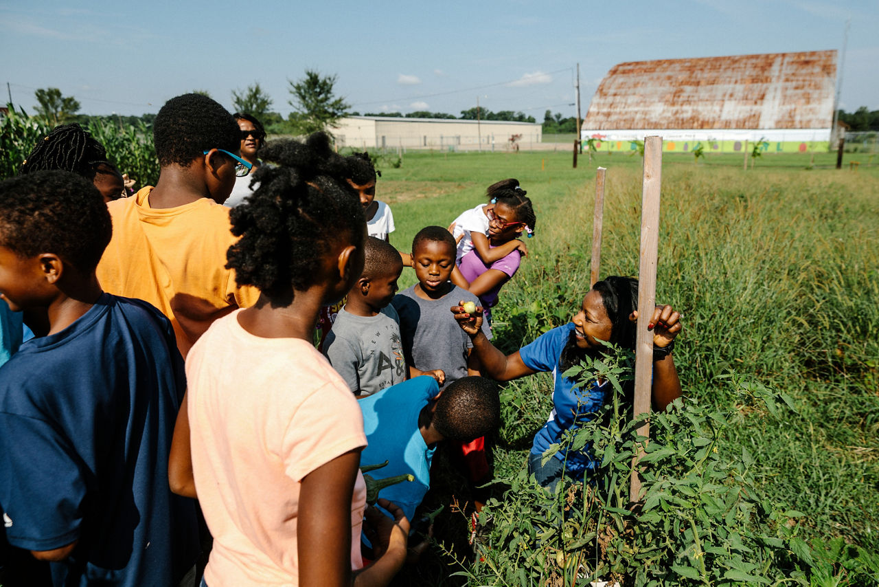 Vicksburg, MS - August 4, 2017 - A group of children from Kids R Kids, a local daycare center, visit with Linda Fondren and members of  United Way at Vicksburg Community Garden.