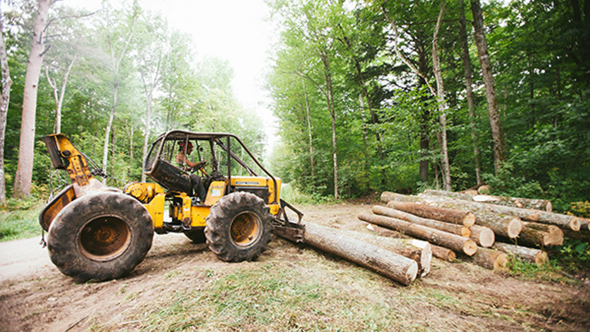 A man driving a tractor at a wood harvesting mill.