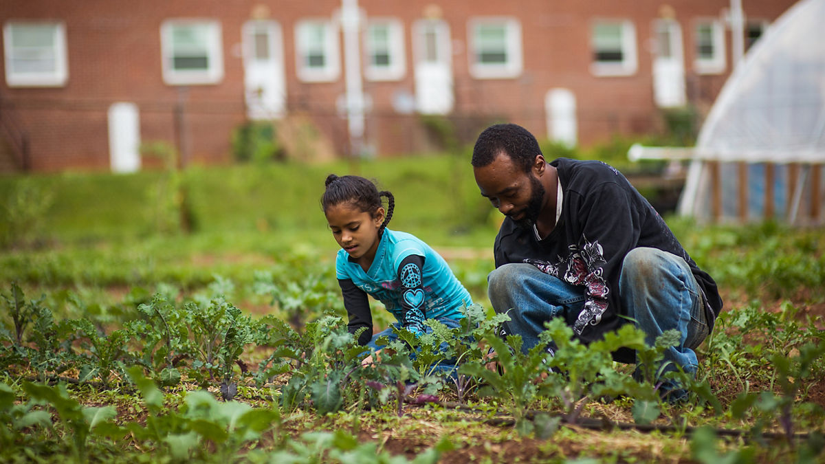 Buncombe County, North Carolina is living proof that improved collaboration among individuals, stakeholders and community leaders can significantly improve health for local residents. 

Led by the local nonprofit Children First/Communities in Schools, community leaders are attacking the issue of poverty at both the individual level and the policy level. Community leaders are working hard to ensure that children have access to and knowledge about nutritious local food.