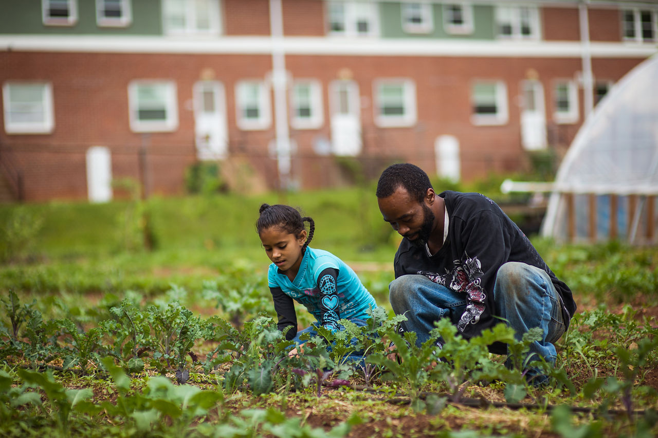 Buncombe County, North Carolina is living proof that improved collaboration among individuals, stakeholders and community leaders can significantly improve health for local residents. 

Led by the local nonprofit Children First/Communities in Schools, community leaders are attacking the issue of poverty at both the individual level and the policy level. Community leaders are working hard to ensure that children have access to and knowledge about nutritious local food.