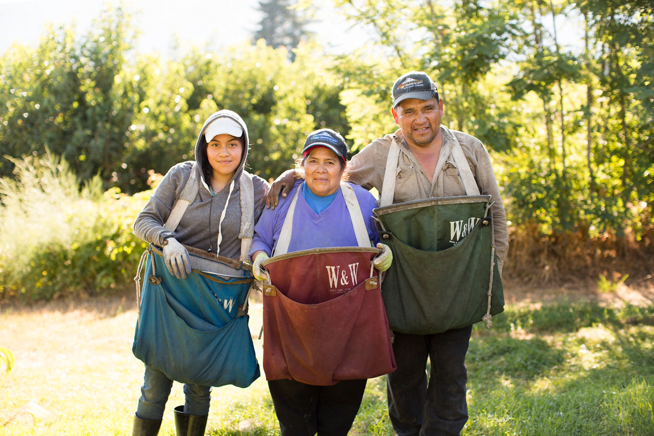 A family working together in an orchard. 