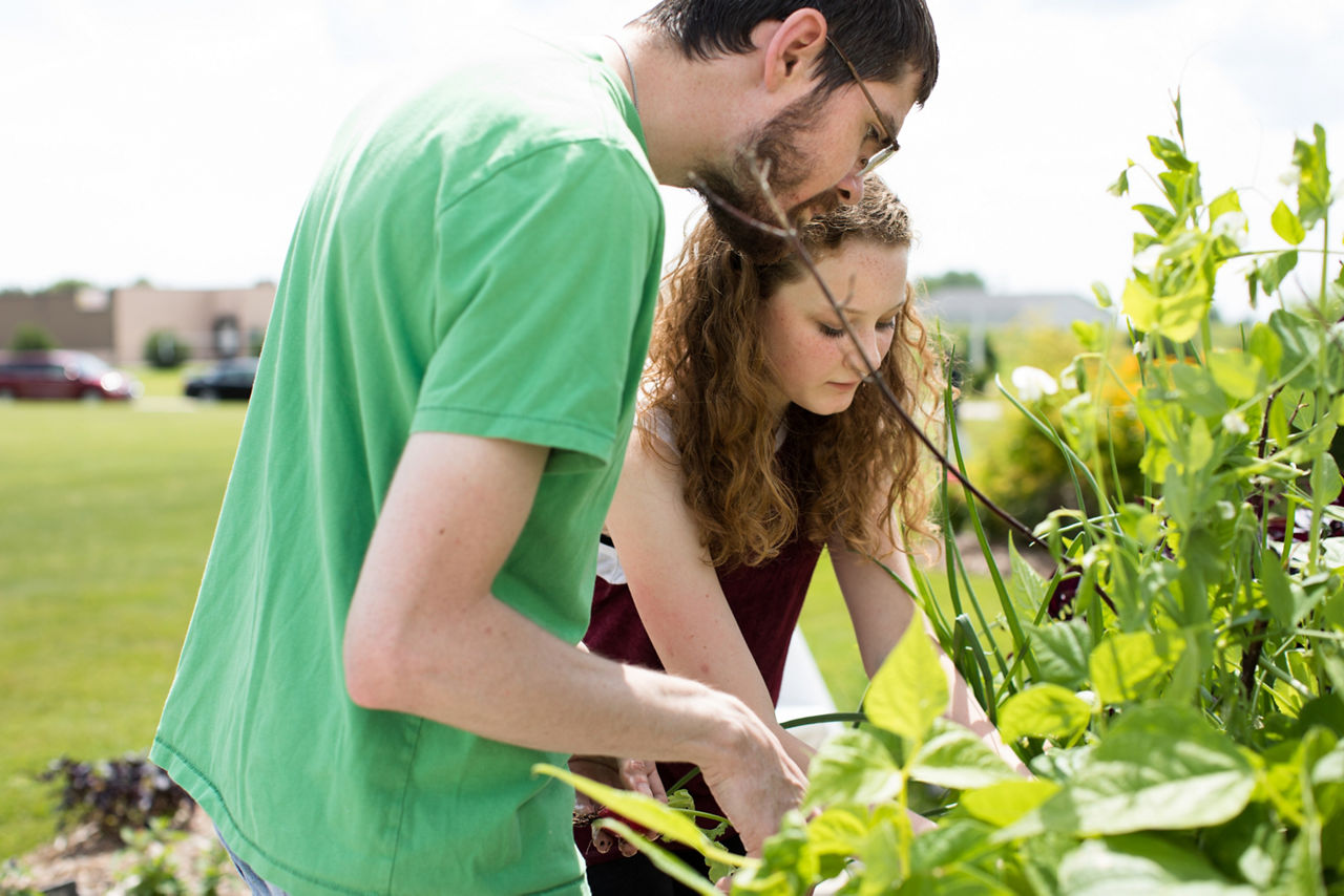 Kara Anderson (right), 15, a member of the Algoma High School Garden Club, harvests radishes with Brent LaCrosse (left).